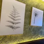 شقة فندقية Luna Zillertal هيباخ