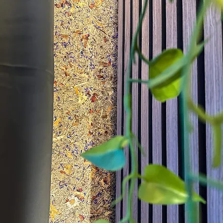 Aparthotel Luna Zillertal 3*