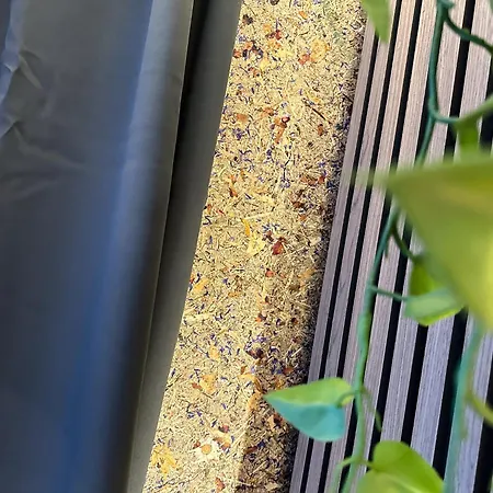 Luna Zillertal מלון דירות 3*