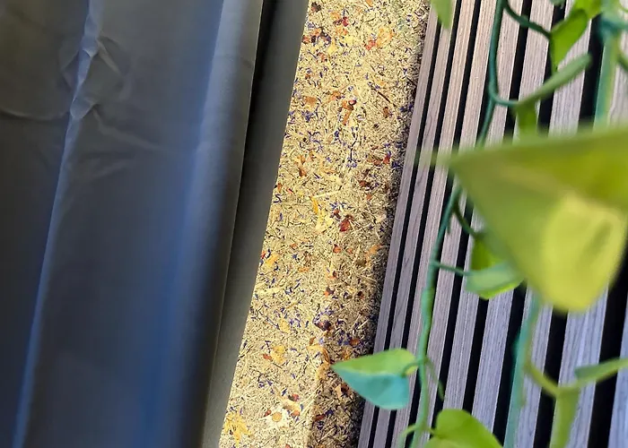 Luna Zillertal Lägenhetshotell 3*